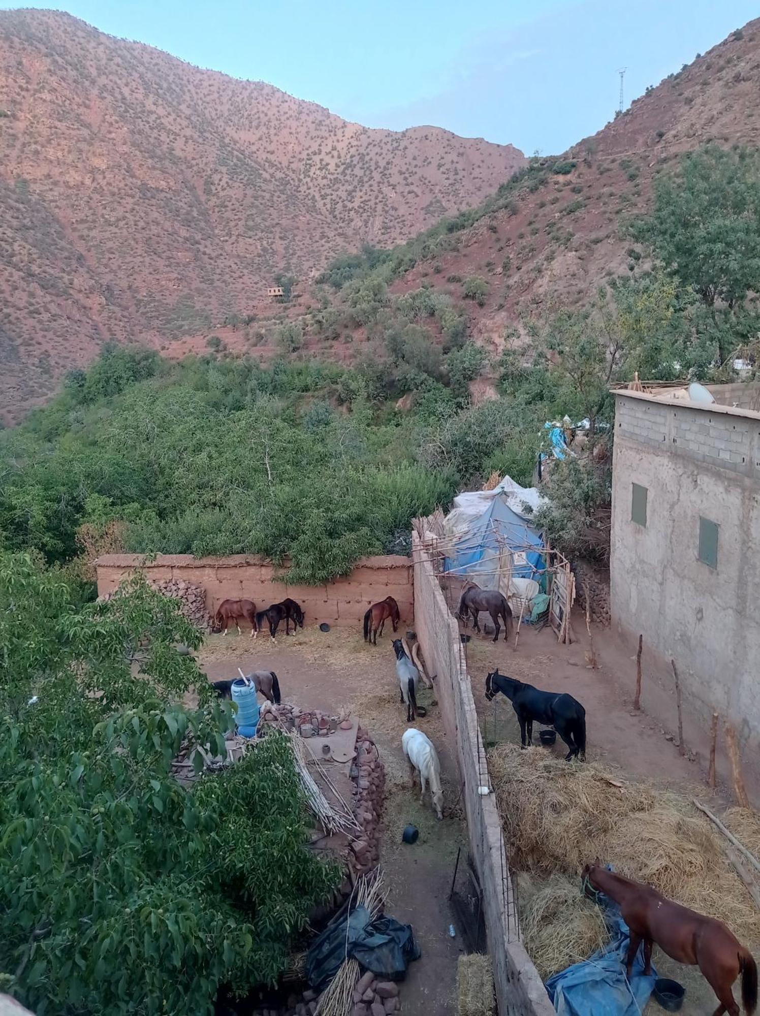 Gite Gougadir Imoughlad Imlil  Bagian luar foto